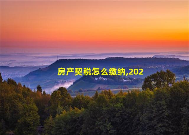 房产契税怎么缴纳,2023房产契税退税