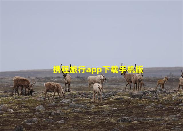 携程旅行app下载手机版