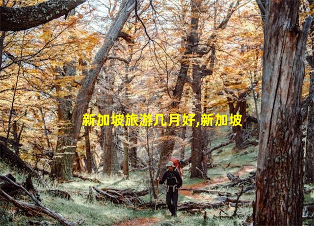 新加坡旅游几月好,新加坡旅游几月最好