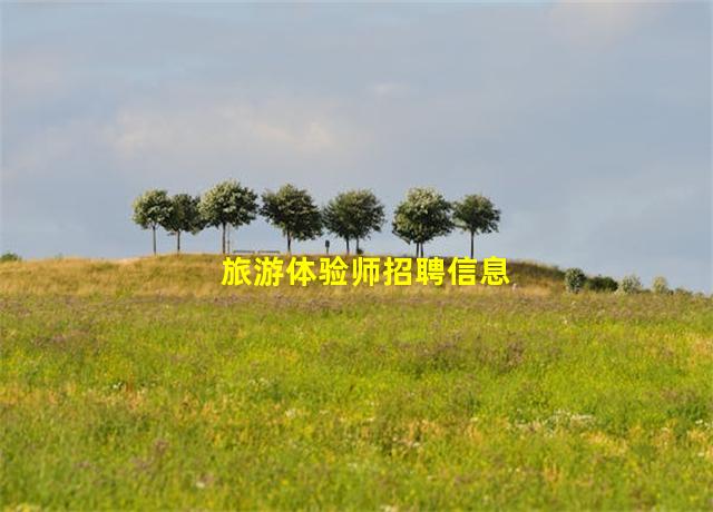 旅游体验师招聘信息