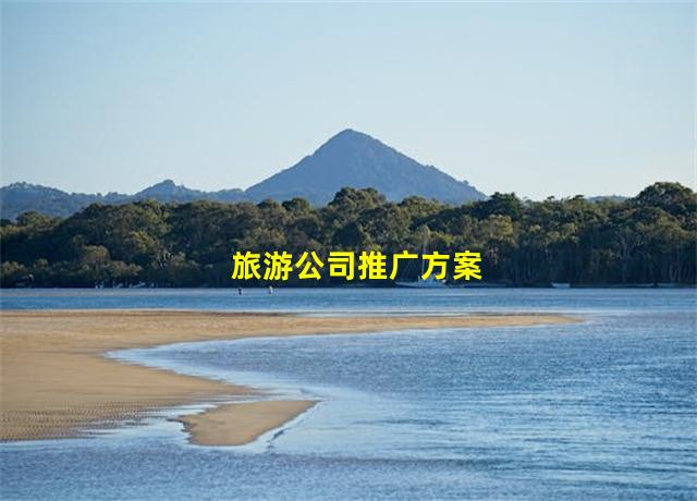 旅游公司推广方案