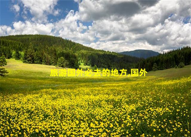 旅游国外必去的地方,国外旅游门票