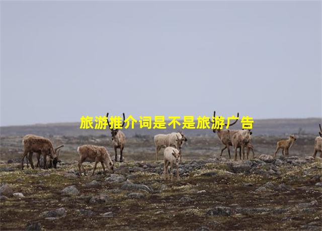 旅游推介词是不是旅游广告,旅游推介是什么意思