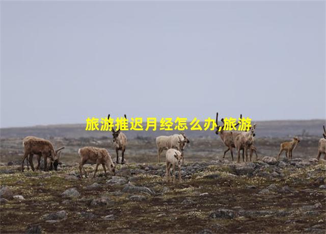 旅游推迟月经怎么办,旅游推迟月经