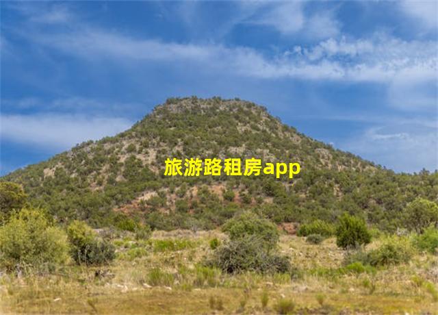 旅游路租房app