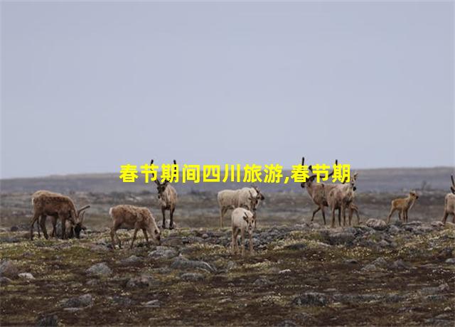 春节期间四川旅游,春节期间四川旅游推荐