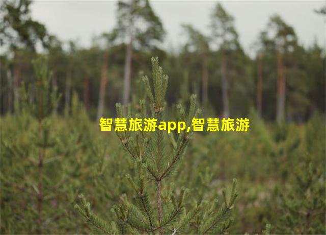 智慧旅游app,智慧旅游的问题有哪些