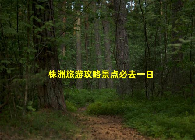 株洲旅游攻略景点必去一日游,株洲旅游最值得去的地方