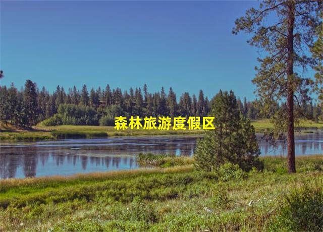 森林旅游度假区