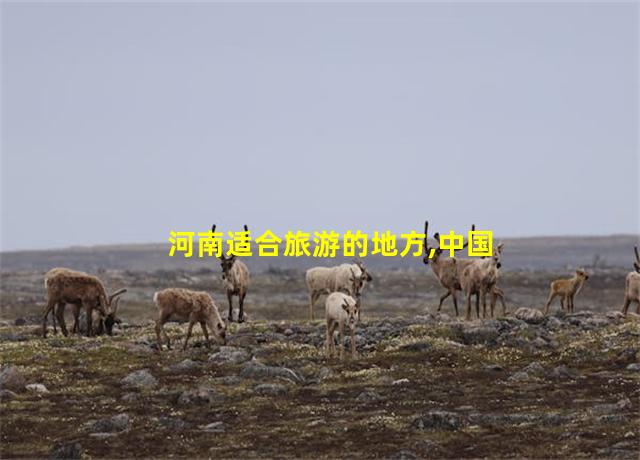 河南适合旅游的地方,中国清净的旅游地方