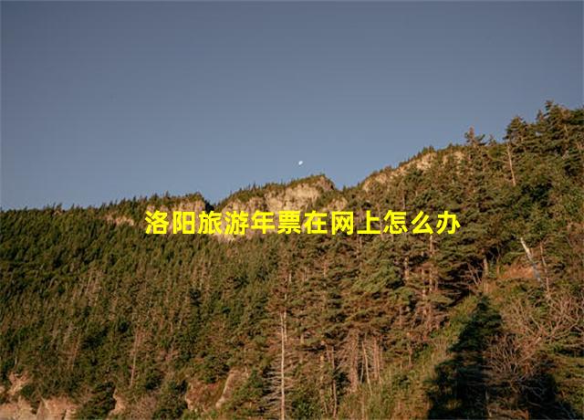 洛阳旅游年票在网上怎么办,洛阳旅游年票怎么办理