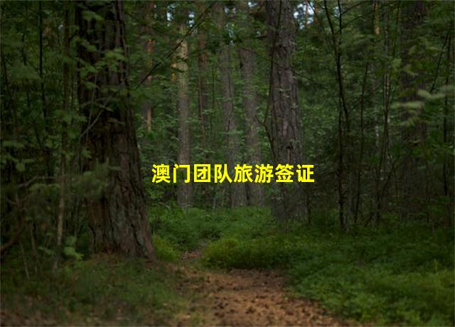 澳门团队旅游签证