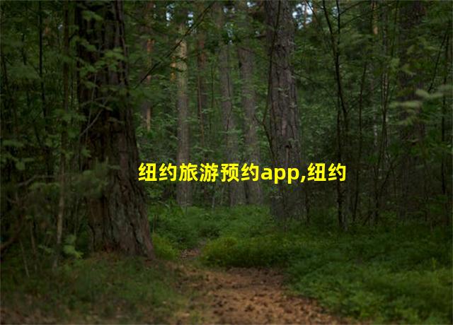 纽约旅游预约app,纽约旅游预约网站