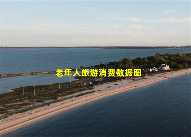 老年人旅游消费数据图