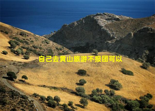 自己去黄山旅游不报团可以吗