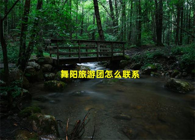 舞阳旅游团怎么联系