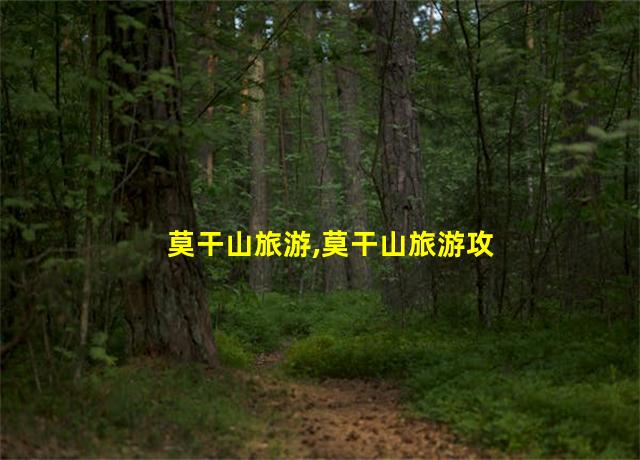 莫干山旅游,莫干山旅游攻略1日游