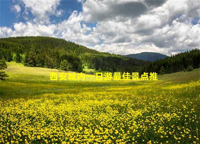 西安城内一日游最佳景点推荐