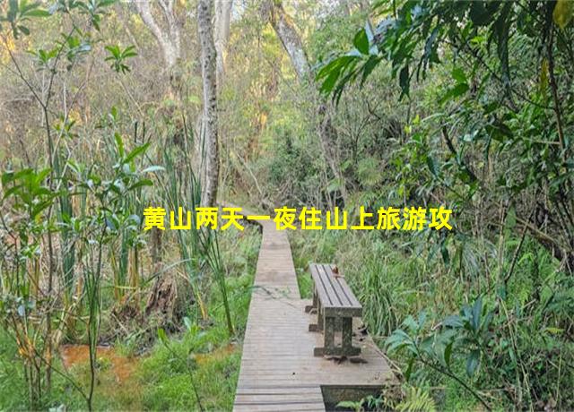 黄山两天一夜住山上旅游攻略