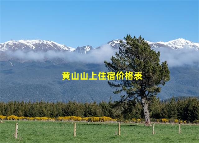 黄山山上住宿价格表