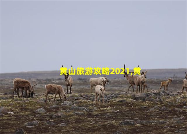 黄山旅游攻略2021,黄山旅游攻略三日游自由行攻略