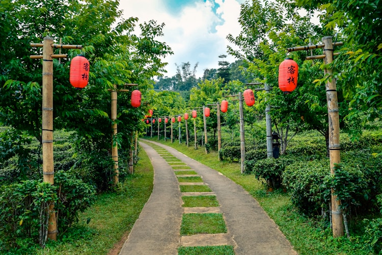 泰国旅游自由行还是跟团好,泰国旅游全攻略自由行插图