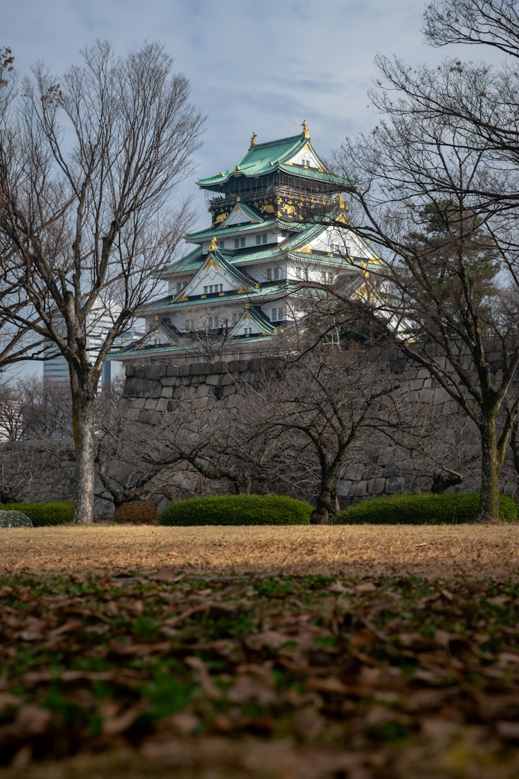 日本旅游注意事项,日本旅游一趟大概多少钱插图