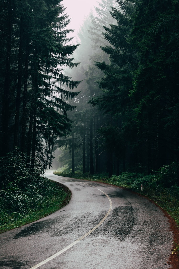 旅游下雨了怎么办,旅游的时候下雨天还要去吗插图