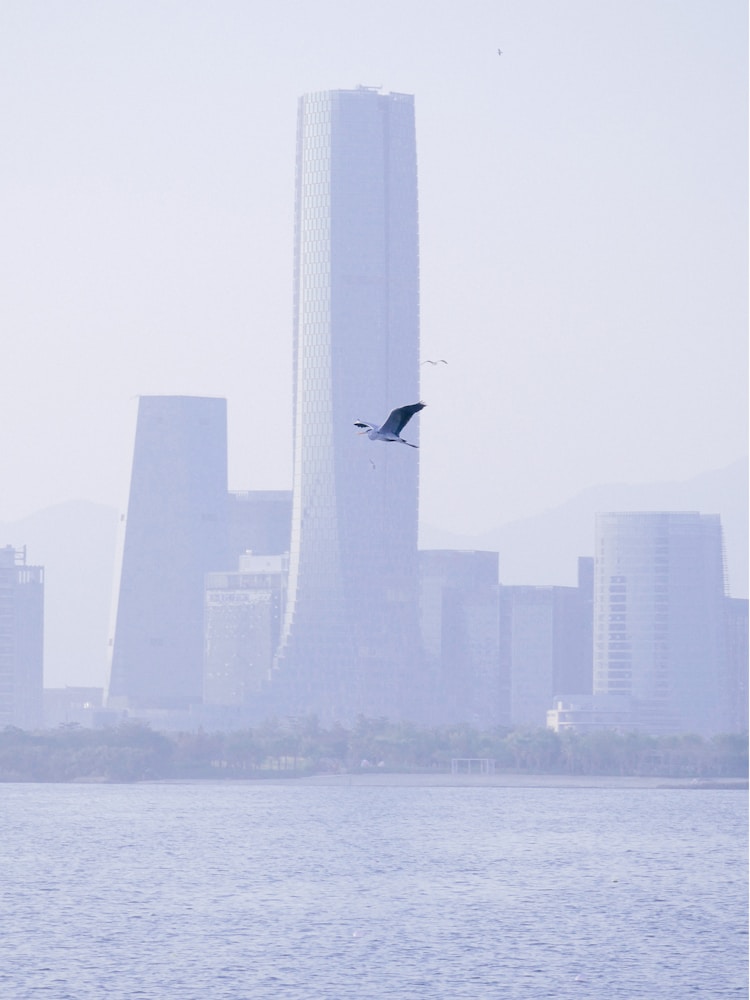 十一月厦门旅游攻略自由行,十一月去厦门旅游攻略路线插图