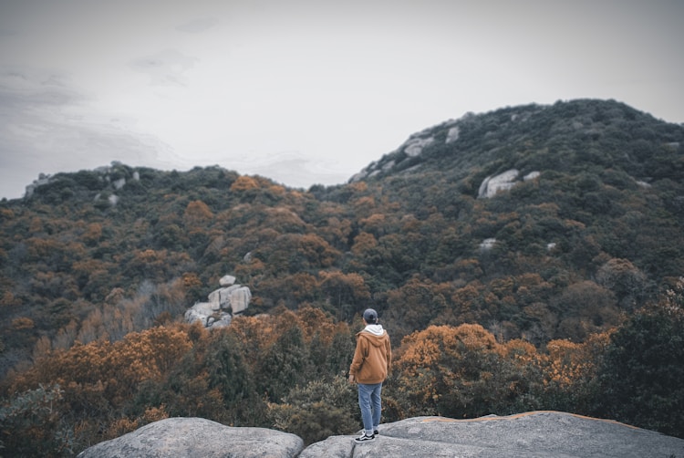 到普陀山跟团游,去普陀山的旅游团插图