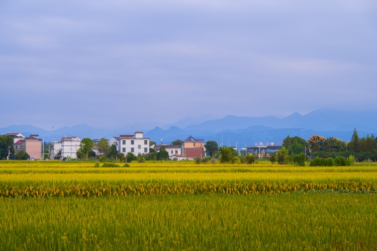 衢州旅游攻略自驾游,衢州旅游攻略一日游插图