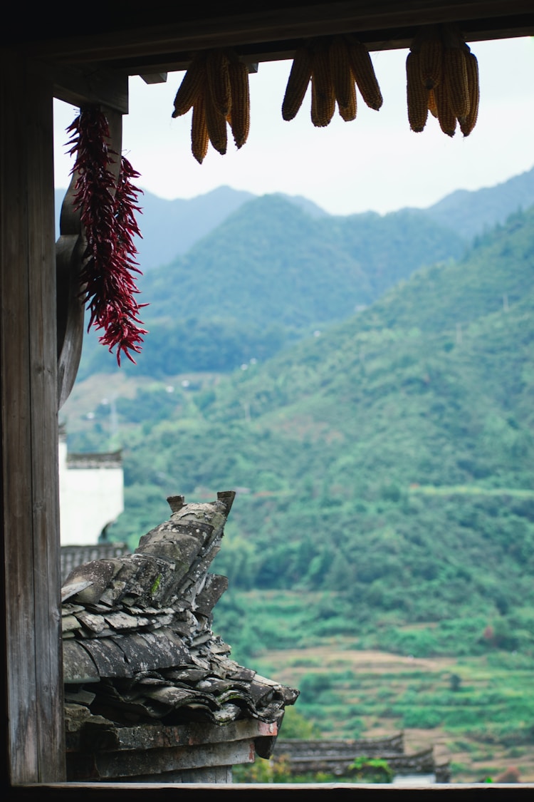 从天津到婺源旅游攻略区介绍,天津到婺源旅游攻略插图2