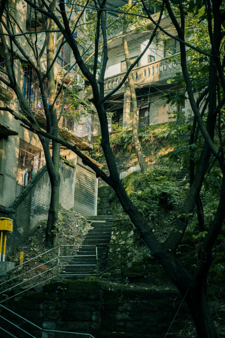 重庆三日旅游攻略自助游,重庆三日旅游攻略插图2