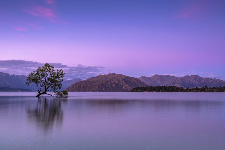 东湖旅游攻略一日游,东湖旅游攻略最佳线路插图