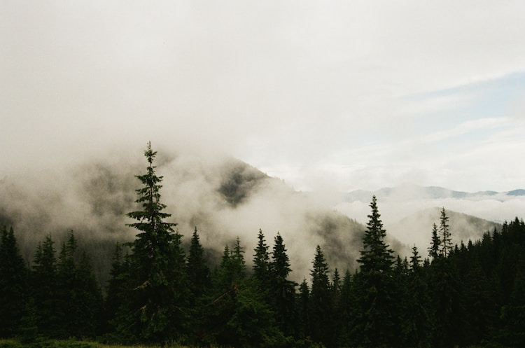 南太行山旅游,南太行山旅游景点门票插图2