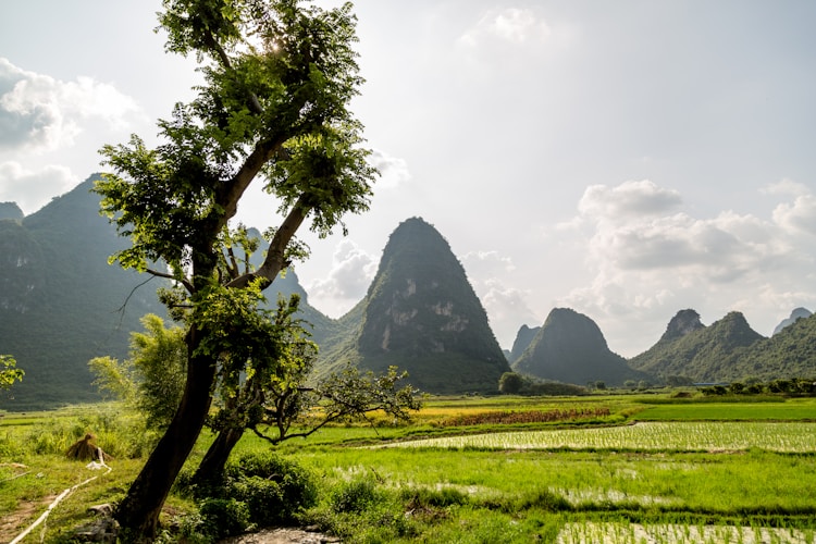 广西旅游推荐,广西旅游北海攻略插图2