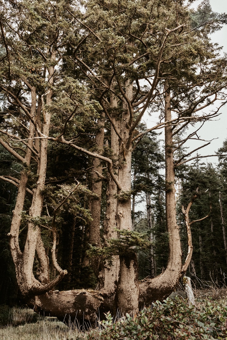 宝鸡秦岭一日游,宝鸡秦岭旅游景点大全介绍插图2