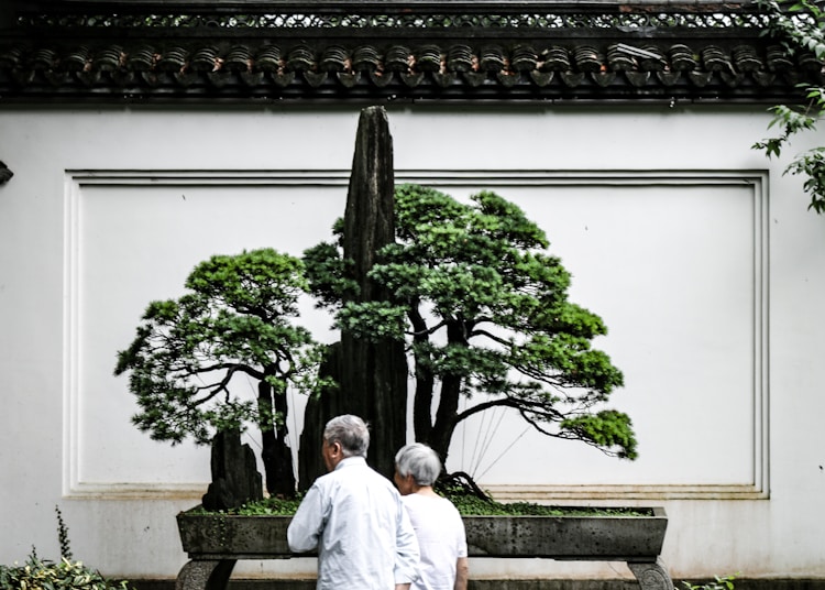 杭州运河旅游轮船价格,杭州运河旅游集团有限公司插图