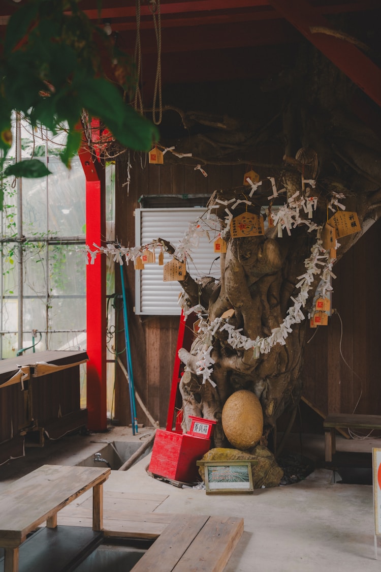 春节适合去哪个国家旅游,春节适合到哪旅游最好插图