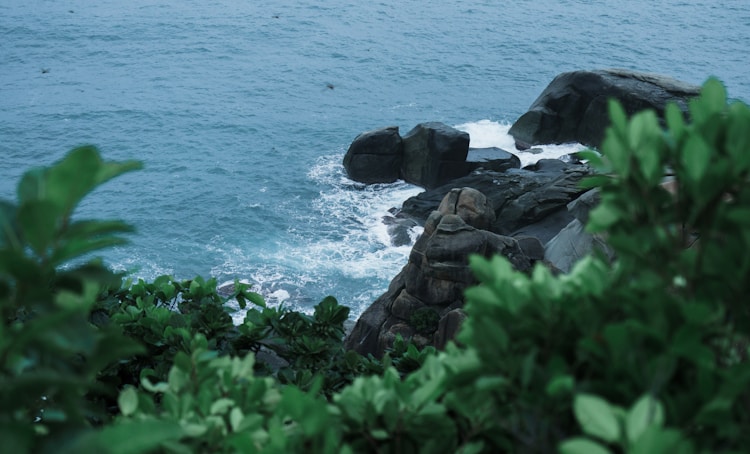 三亚旅游管家,三亚旅游多少钱插图2