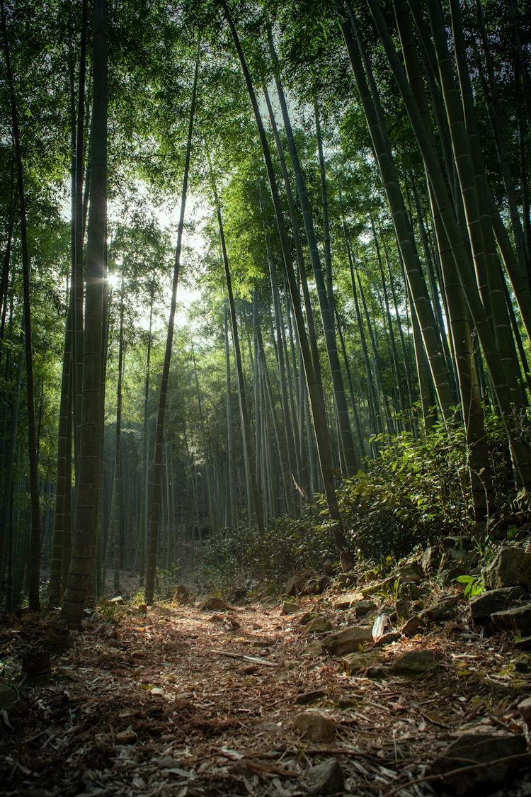 浙江湖州景色,浙江湖州旅游拍照插图2