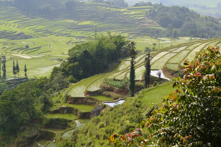 去云南旅游哪个季节好,去云南玩最好的季节插图