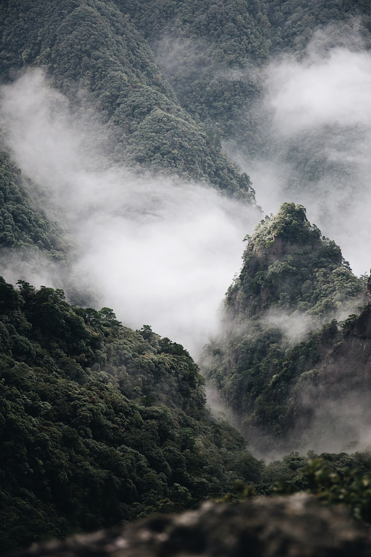 铜仁玉屏旅游景点大全,铜仁玉屏旅游必去景点推荐插图