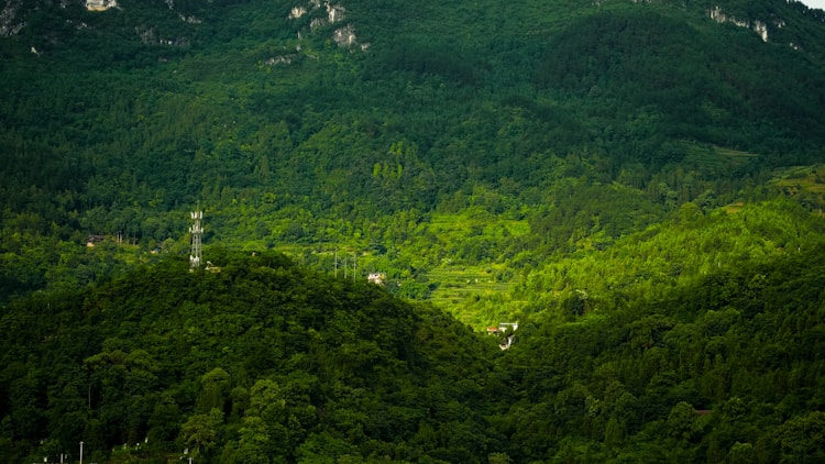 云南云县旅游攻略,云县旅游团插图