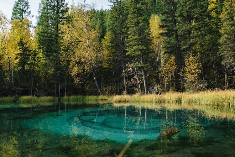 旅游景点介绍的英语作文,旅游景点介绍英语作文八十词左右插图