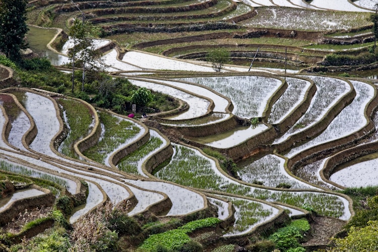 郁南有什么旅游景点,郁南位置插图