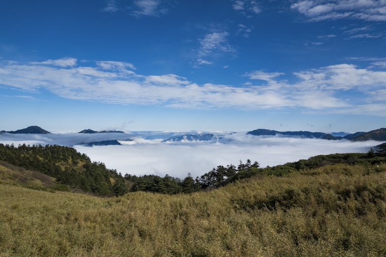 神农架旅游景区电话,神农架游客中心电话插图