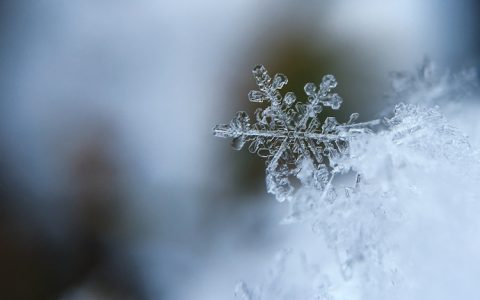 冬季旅游景点介绍信范文,旅游景区介绍信