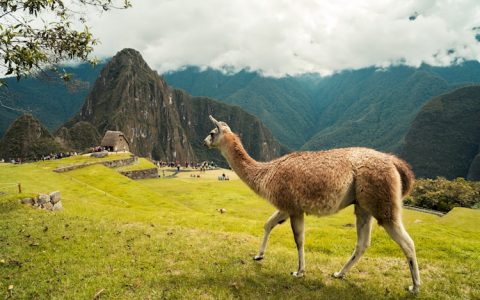 蚌埠旅游景点有哪些,蚌埠旅游景点排名