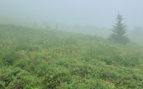 北武当山旅游攻略一日游吕梁,北武当山旅游注意事项